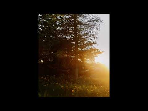 [FREE] skele, fats'e, midwest emo type beat | "soldier"