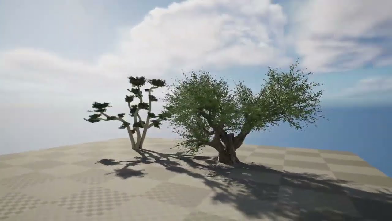 2 olive trees types for indoor and garden 3D Model