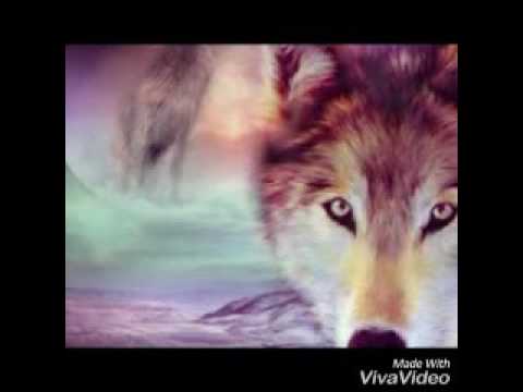 ♥kion y fuli♥ capítulo 6