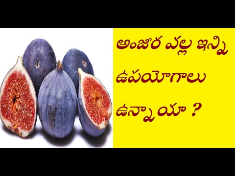 అంజీర వల్ల ఇన్ని ఉపయోగాలు ఉన్నాయా ? | Importance Of Anjeera,Figs Fruit For Human