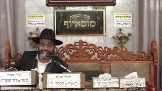 הרב אהרון שמאי | הכות פסוקי דזמרה | מוסאיוף (בית הכנסת מוסאיוף - ערוץ חדש) - התמונה מוצגת ישירות מתוך אתר האינטרנט יוטיוב. זכויות היוצרים בתמונה שייכות ליוצרה. קישור קרדיט למקור התוכן נמצא בתוך דף הסרטון