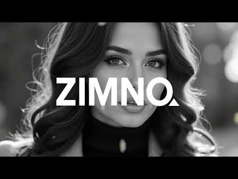 ZIMNO - Туман над мостами