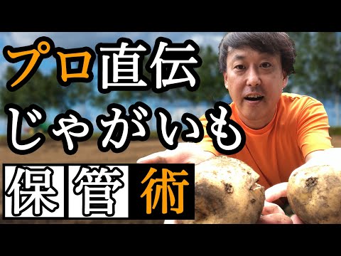 , title : '【最新版】プロが教えるジャガイモの保管方法！！'