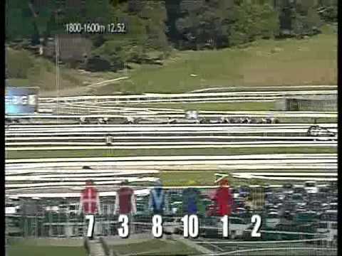 Shamrocker wins the AJC Derby