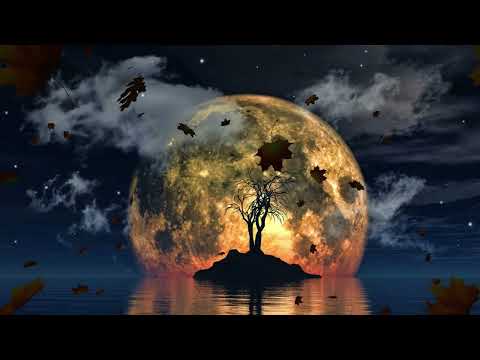 Puiu Ionel Oficial - Nu e nimeni pe strada