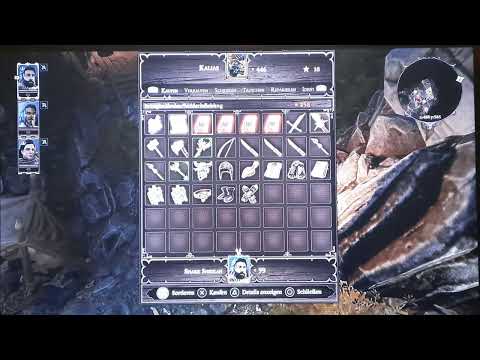 Divinity: Original Sin 2 Folge 2