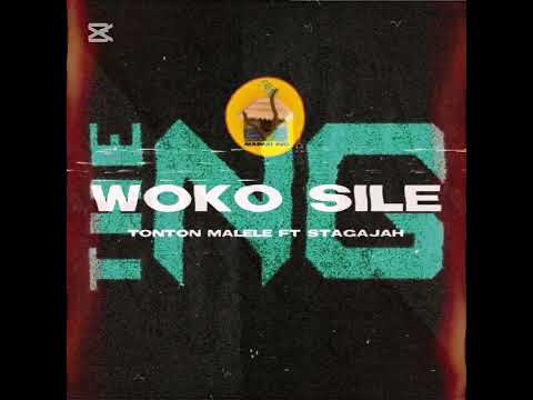 Woko Sile - Tonton Malele (The NEWGUY Remix)