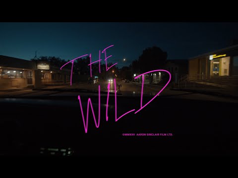 video-thumbnail