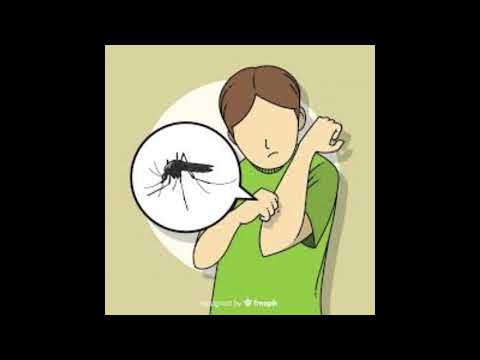 Escuela Rural Nº 53 de Arroyo Malo (Quebracho, Paysandú) - Video 1