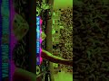 GANESH PUJA SPICIAL DJ SONG RIVA RIVA FULL BASS BOOST SOUNDS