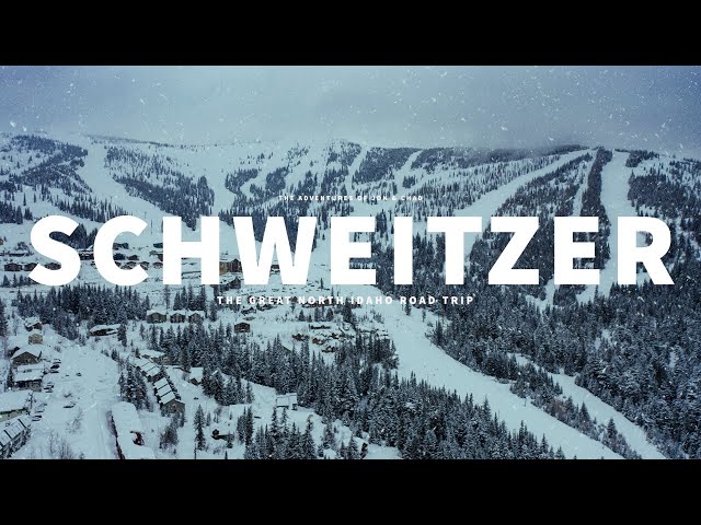 Video Pronunciation of Schweitzer in English