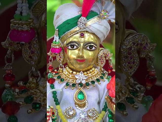 હરિકૃષ્ણ મહારાજ