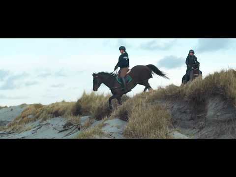Equine Fusion Active Jogging