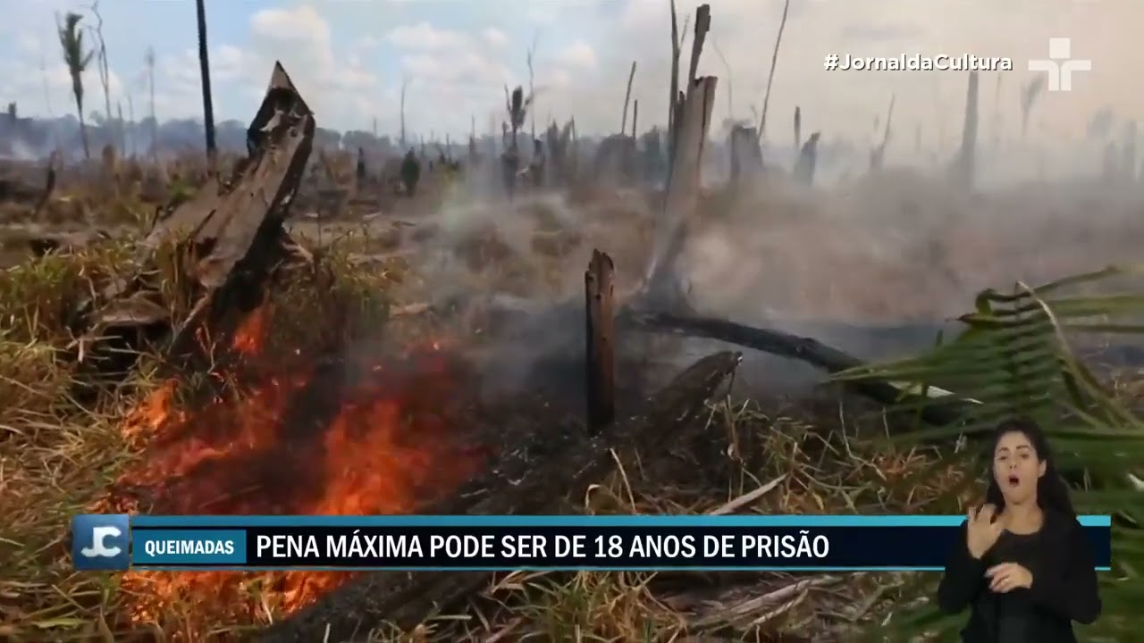 Ministério da Justiça prepara projeto de lei que endurece punição em caso de desmatamento