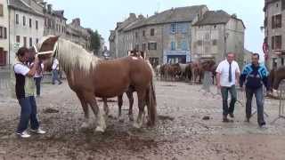 preview picture of video 'Concours chevaux de trait 2013 Châteauneuf de Randon (Lozère)'