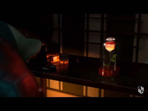 Zamerati feat. Gitta - Hol rontottam el?