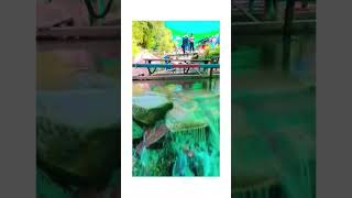 #device #mobile #samsunggalaxy #netchemistry #kiwi