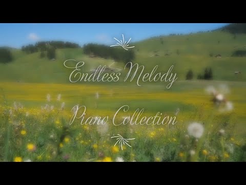 1 Hour Piano Songs Vol 3 𝅘𝅥𝅮 Ocean 𝅘𝅥𝅰 Bird 𝅘𝅥𝅰 Thunder Sound 𝅘𝅥𝅰 Studying 𝅘𝅥𝅮 Relaxing Music