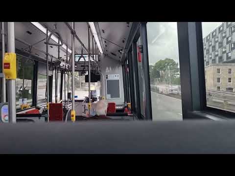 Transit Systems Sydney m/o 8551 - BYD D9RA (Electric)