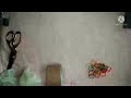DIY Dildo At Home Make Your Own Dildo At Home Without Spending Dollars Simple Steps