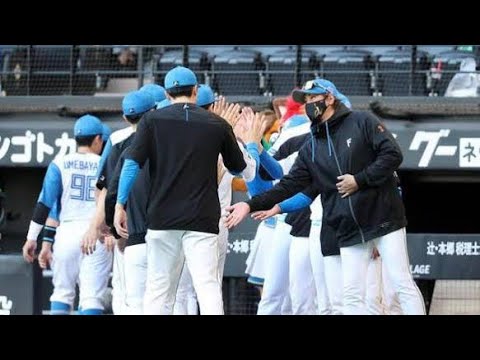 ⚾万波中正141m特大弾!新庄監督も驚愕した“怪物ホームラン”🔥😱#日本ハム #北海道日本ハムファイターズ #万波中正 #新庄剛志 #新庄監督 #郡司裕也 #エスコンフィールド #プロ野球 #交流戦