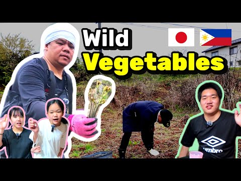 Living in Japan Country Side | Wild Vegetables | Filipino Single Father in Japan