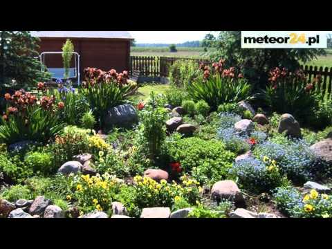 Agroturystyka Pod Lasem - Staniszcze Wielkie meteor24.pl