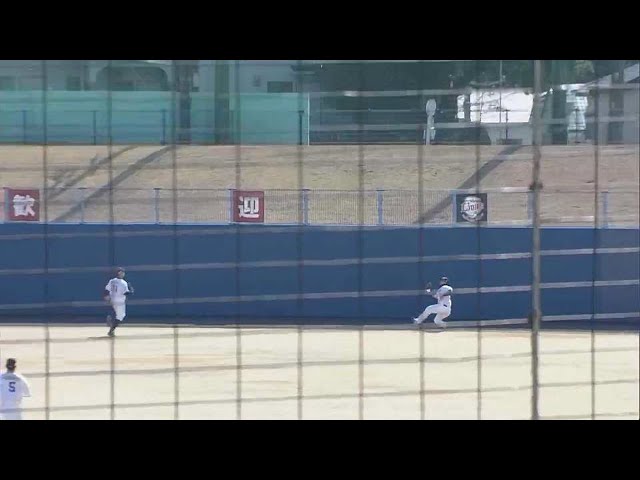 【春季キャンプ紅白戦】こちらも守備で魅せる!! ライオンズ・川越誠司がスライディングキャッチ!! 2023年2月22日 埼玉西武ライオンズ