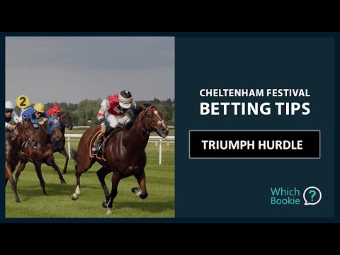 Triumph Hurdle Ante-Post Tips - 2022 Cheltenham Festival - Andrew Blair White