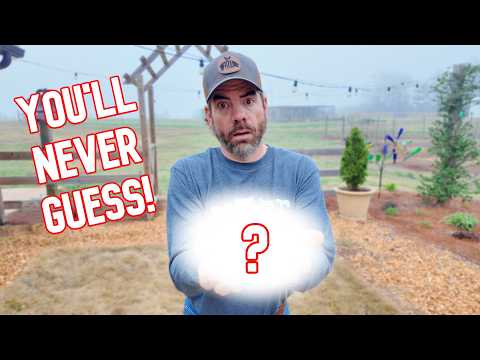 Got Surprise Babies Hatching, But You'll Never Guess What?!