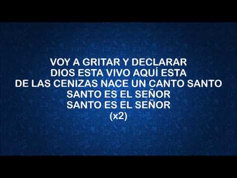 En Alta Voz New Wine Letra