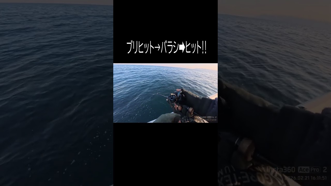 ジギングでブリ連発‼ #fishing #釣り#ジギング #マイボート #丹後ジギング