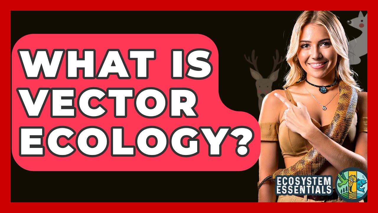 What Is Vector Ecology? - Ecosystem Essentials