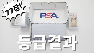 PSA 등급결과! 등급비만 400만원 등급대행 언박싱