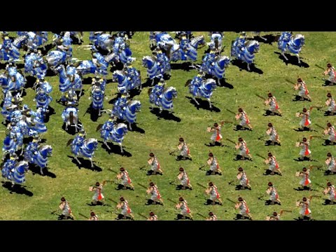 400 Paladins vs 800 Slingers | Age of Empires II
