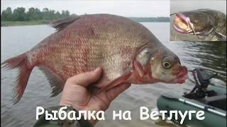 Ссылка