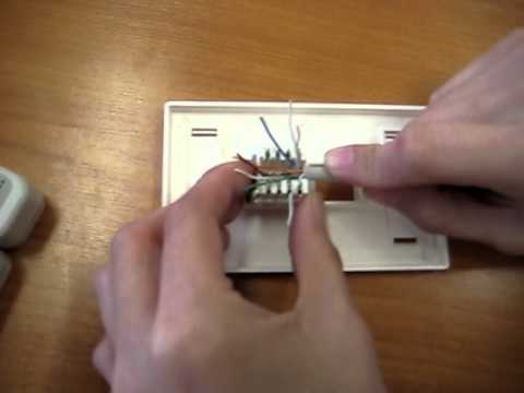 เข้าหัว RJ45 ตัวเมีย – tom.ji42.com เข้าหัว Rj45 ตัวเมีย – Tom.Ji42.Com