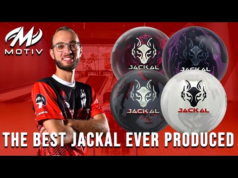 Il MIGLIOR Jackal mai prodotto | Motiv Jackal EXJ