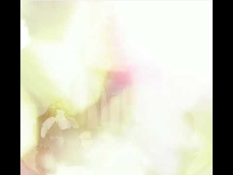 Cakes | Miracles Bakery cafe