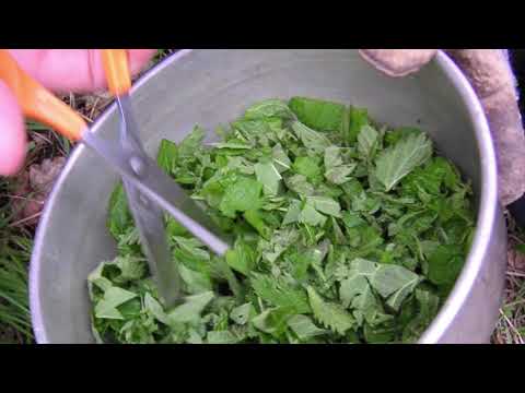 Kerstin Riedels ”Vilda skafferi”