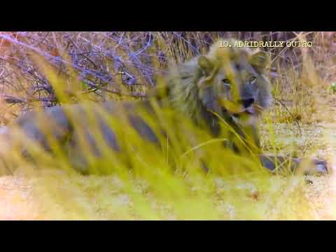 10 - GARBAN - ADRIDRALLY OUTRO