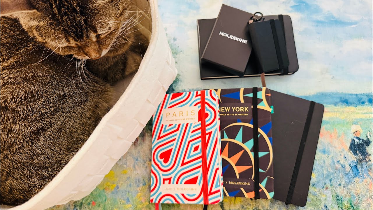 New Moleskine Pocket Notebooks & Mini Notebook and a little Paris Chat! 💕