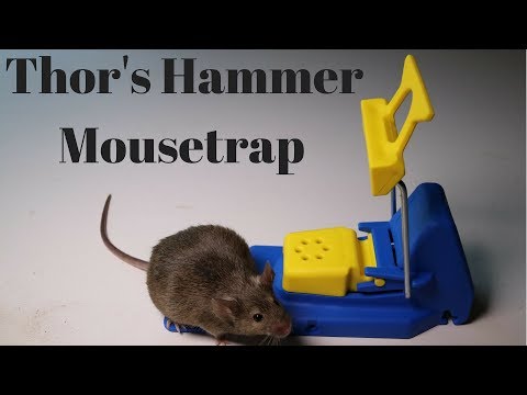 Thor's Hammer Mousetrap From Sweden. The Mjölner Mouse Trap.