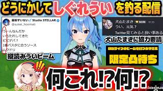 「◯◯さん限定凸待ち」でまさかのしぐれういを引き、紆余曲折の末に本人からの凸を成功させる星街すいせい【ホロライブ切り抜き/しぐれうい切り抜き】