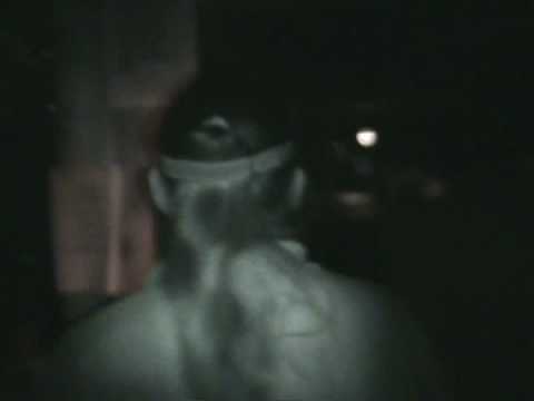 Pelican Alley Restaurant Video 3