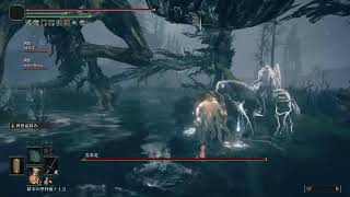 【PS5】エルデンリング DLC 実況なし #6