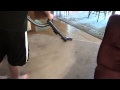 DYSON CINETIC SCIENCE ANIMAL CASNISTER FIRST TEST