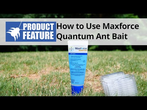  How to Use Maxforce Quantum Video 