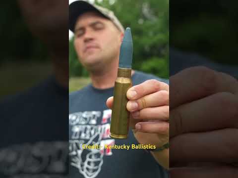 Anzio 20mm sniper rifle fire test.#gunslover #experiment