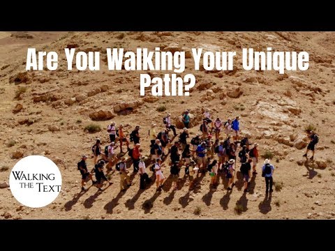 Everyone's Unique Path | Teaching Series | EP075